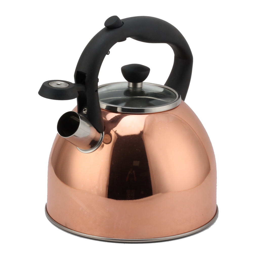 Fashionable S/S Whistling Kettle for Kitchen — 3