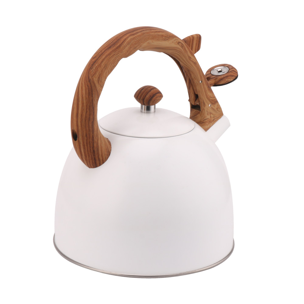 Whistling Tea Kettle-Cooker Induction-Stainless Steel Teapot Quick Kettle for Kitchen — 5