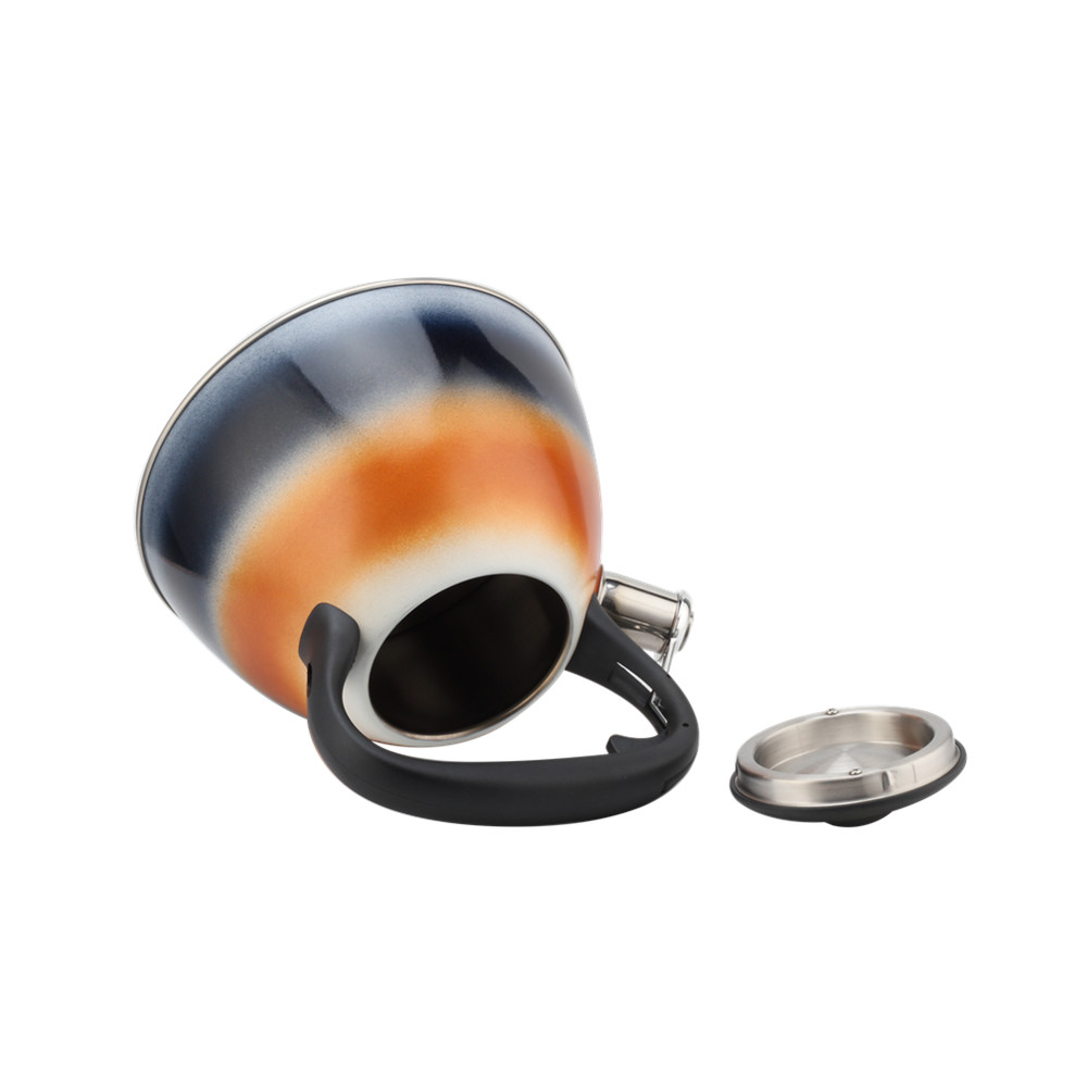 Whistling Kettle for Kitchen — 7