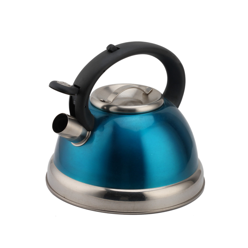 3 Litre Stainless Steel Whistling Kettle — 3