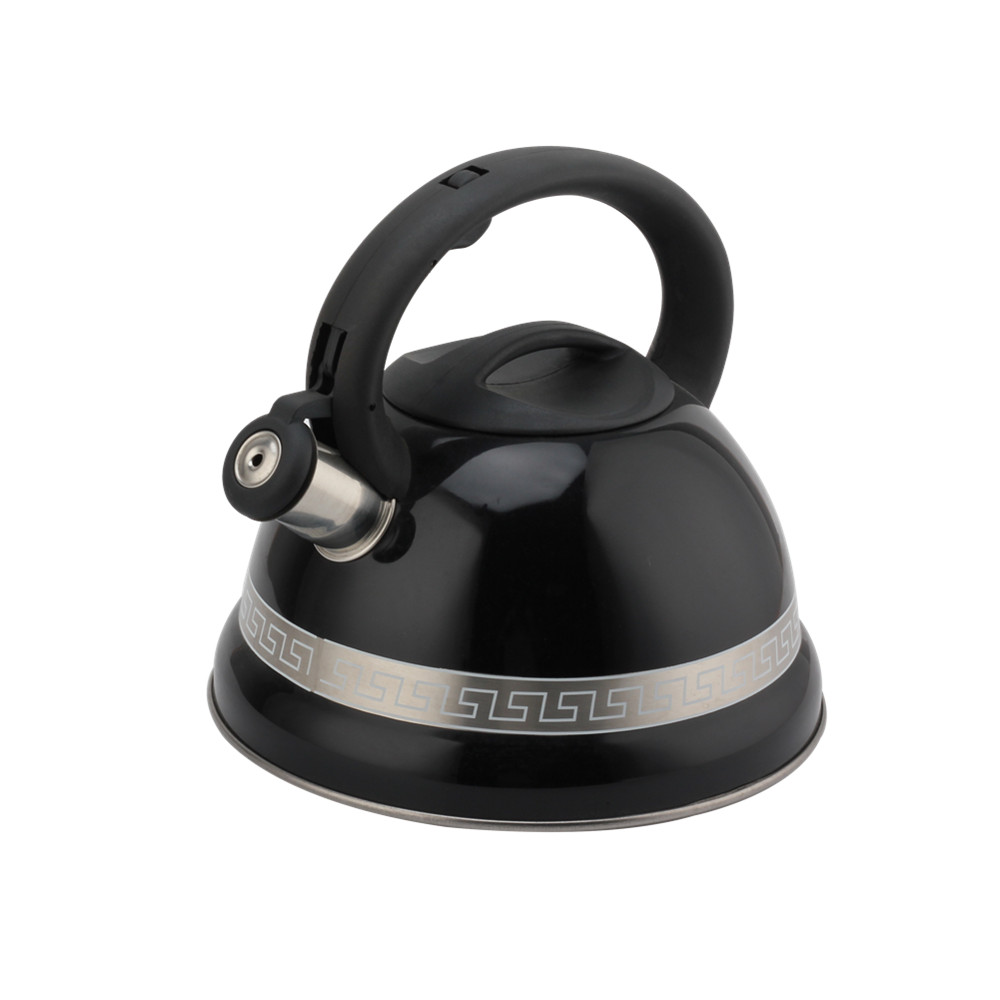 Kettle With Whistle, Suitable for Induction, 3L, Stainless Steel — 2
