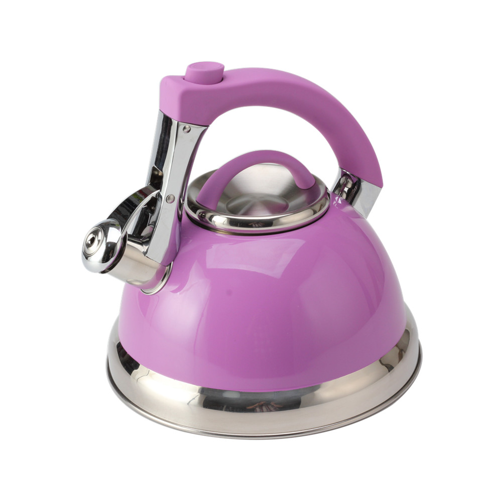 Classic Stainless Steel Whistling Tea Kettle With Purple Handle — 5