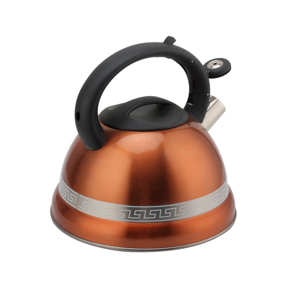 Kettle With Whistle, Suitable for Induction, 3L, Stainless Steel — 4
