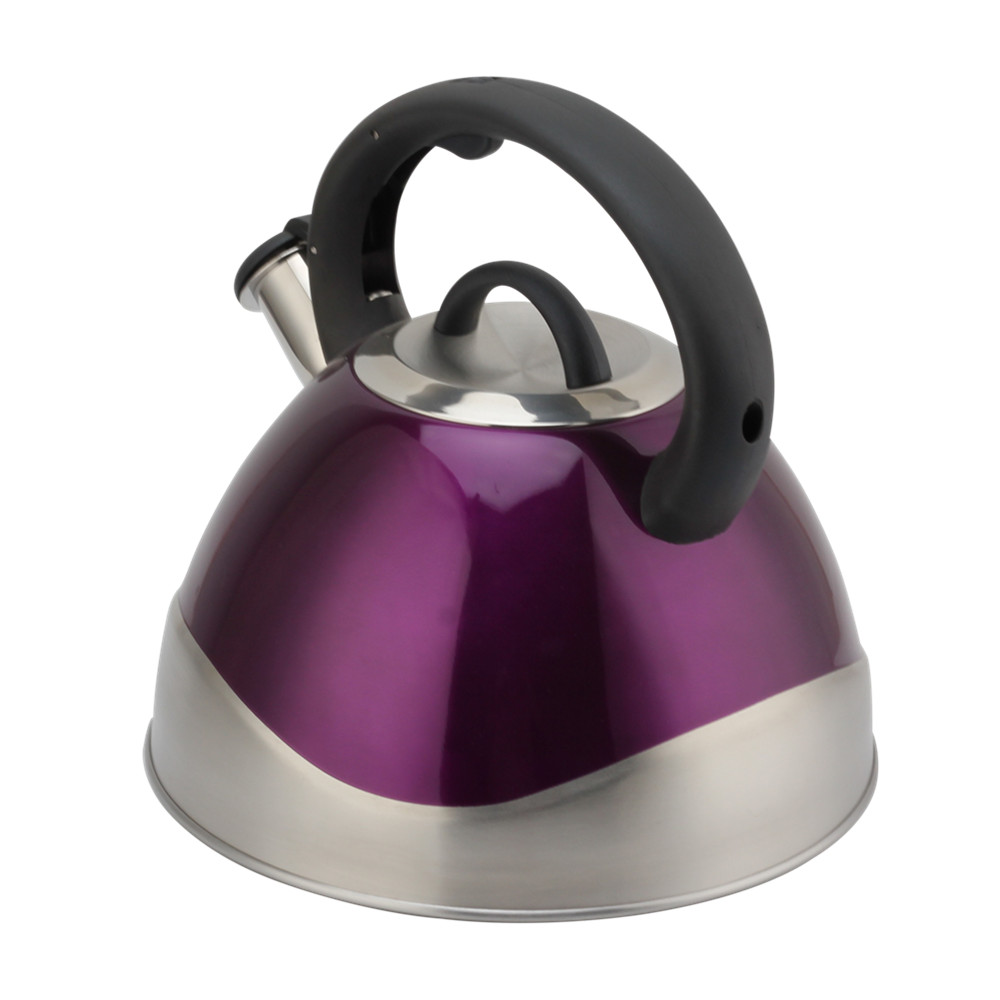 Stainless Steel Whistling Kettle - Tea Kettle for Stove - Teapot Suitable for Induction And Gas — 4