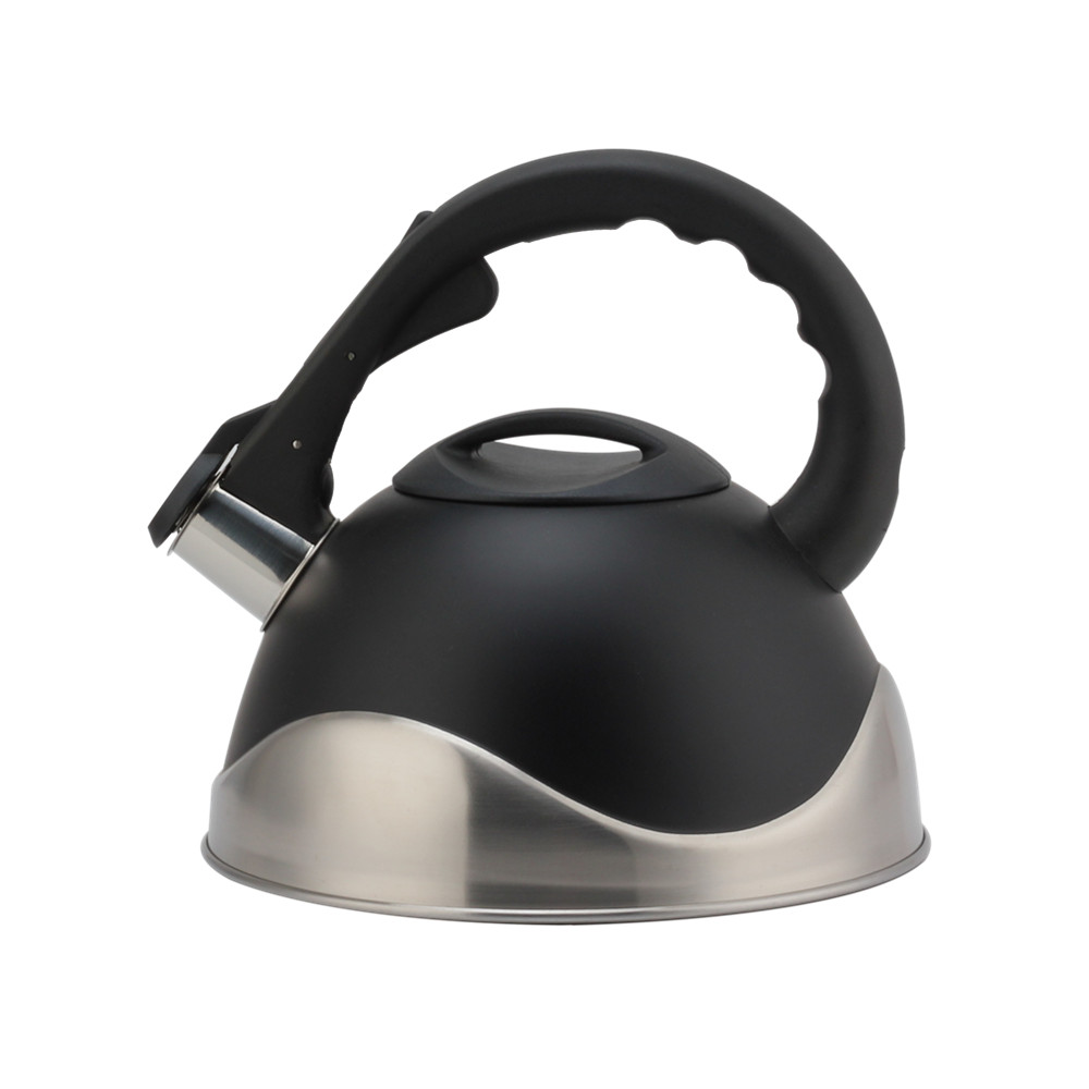 Stainless Steel Whistling Kettle, Ergonomic Handle, Black Color — product information