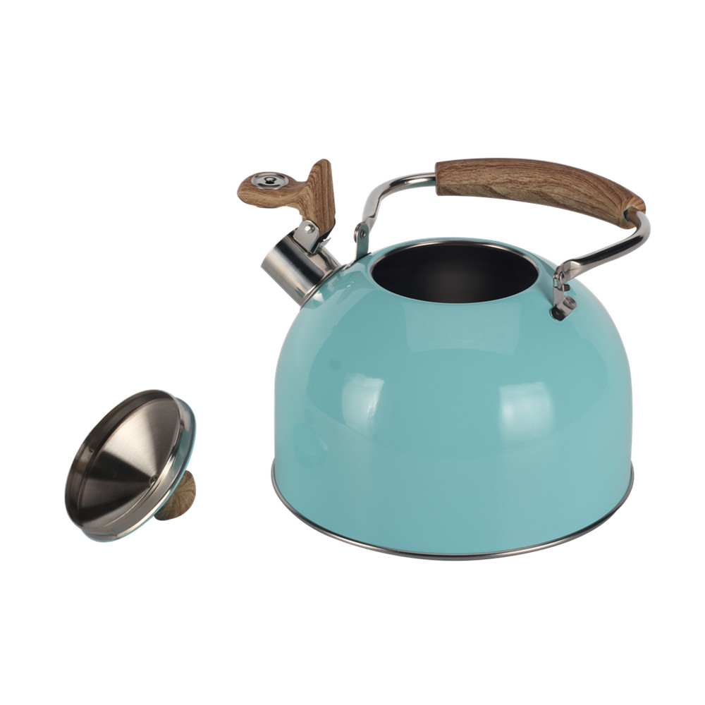 Stainless Steel whistling Kettle — product information