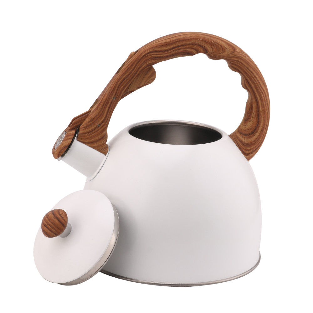 Whistling Tea Kettle-Cooker Induction-Stainless Steel Teapot Quick Kettle for Kitchen — 7