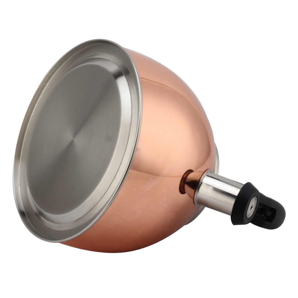Fashionable S/S Whistling Kettle for Kitchen — 6