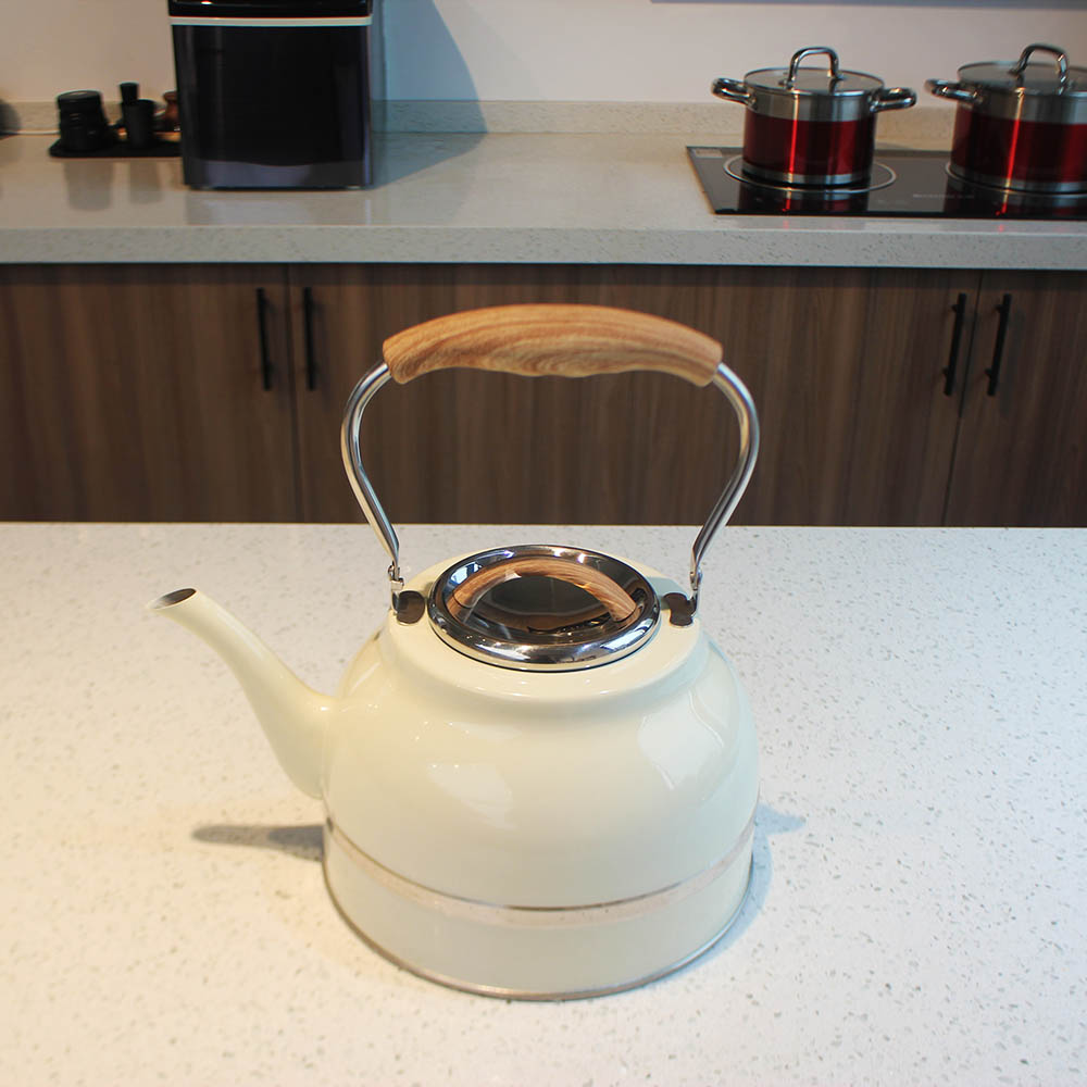 Stainless Steel whistling Kettle — product information