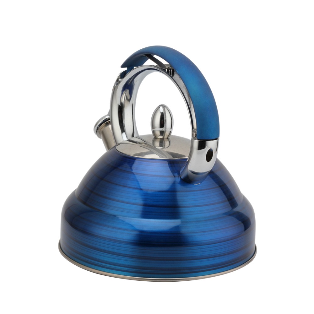 Modern Induction Whistling Kettle Stainless Steel Tea Kettle for All Hobs — product information
