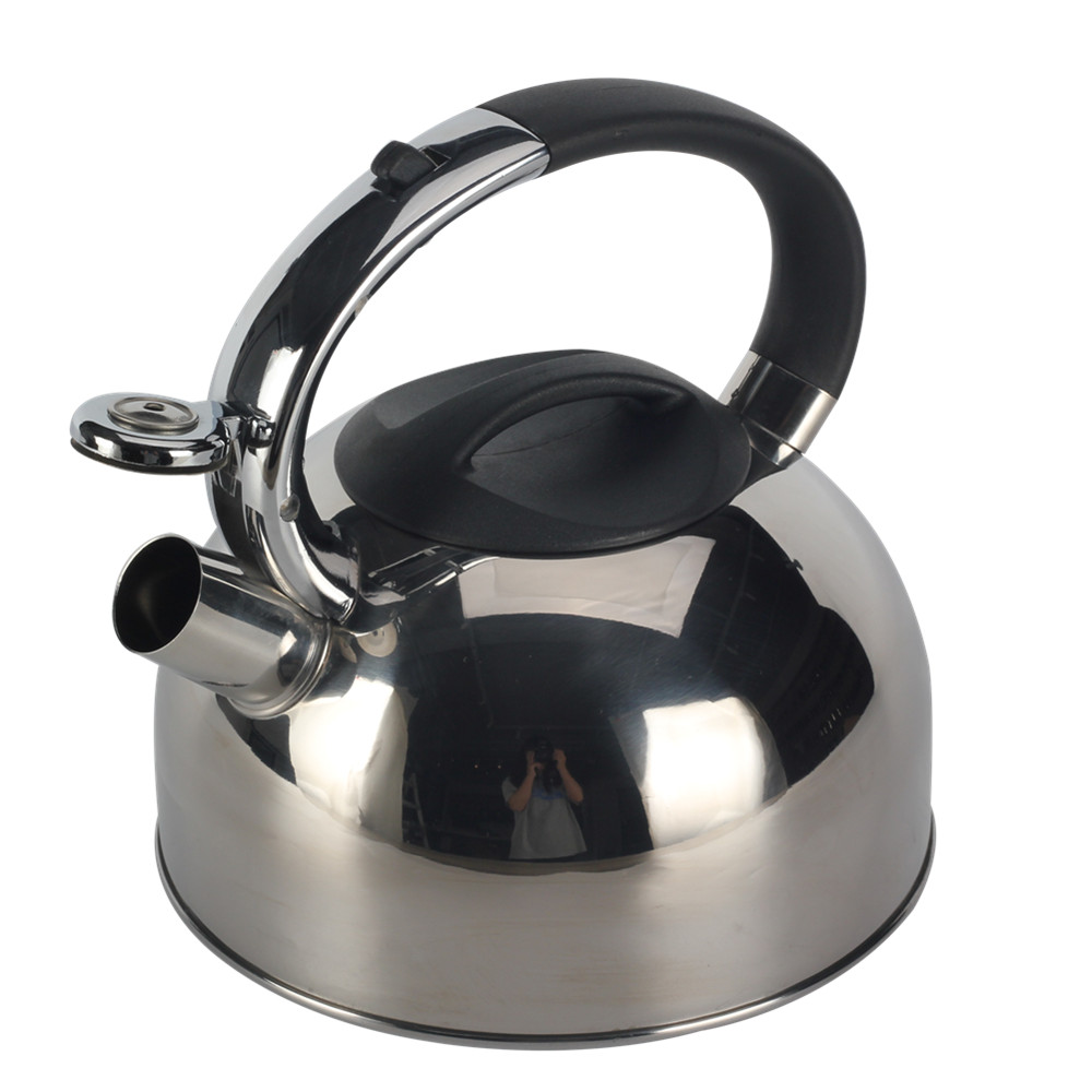 Modern Whistling Kettle Crafted From High-Quality Stainless Steel — product information
