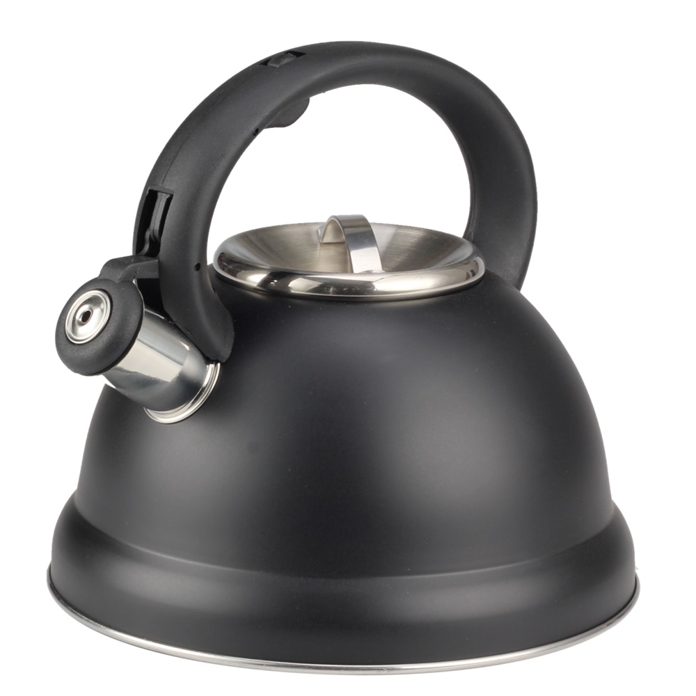 Whistling Kettle Induction-Whistling Kettle Made Of Stainless Steel — 6