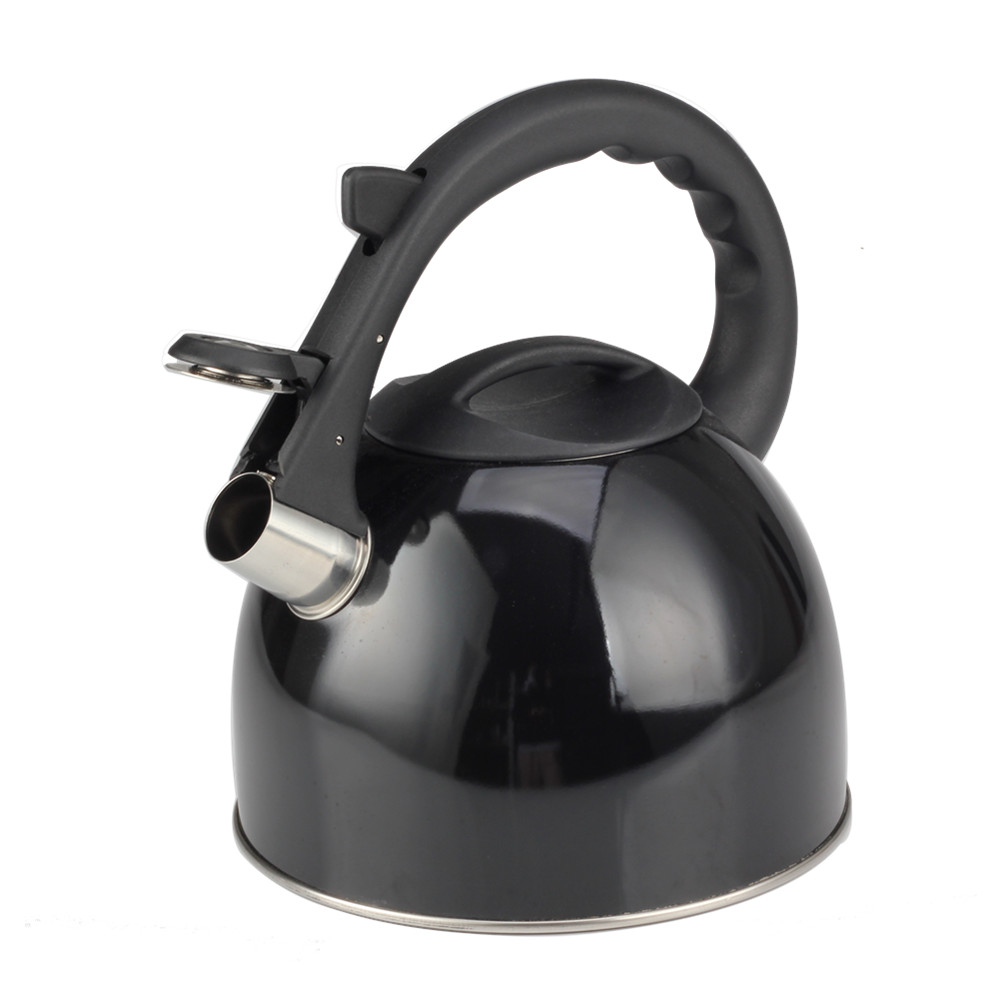Stainless Steel Whistling Tea Kettle for Kitchen Camping — product information