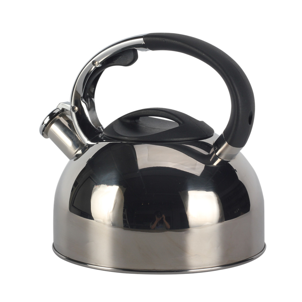 Modern Whistling Kettle Crafted From High-Quality Stainless Steel — product information