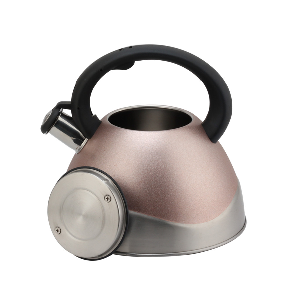Modern Stainless Steel Whistling Kettle, Ergonomic Handle — 5