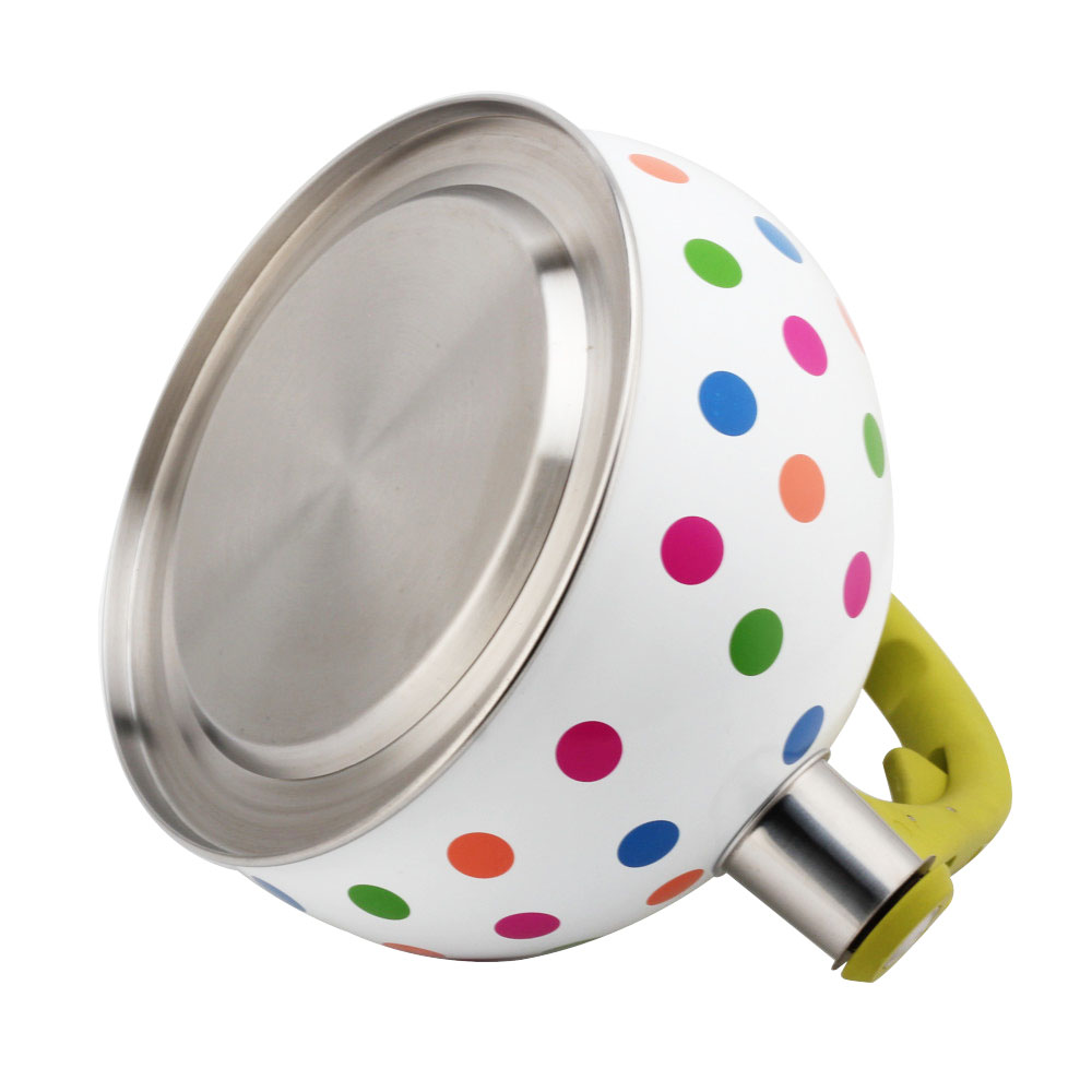 Stainless Steel Tea Kettle With Whistling Sound-Green Handle — 7