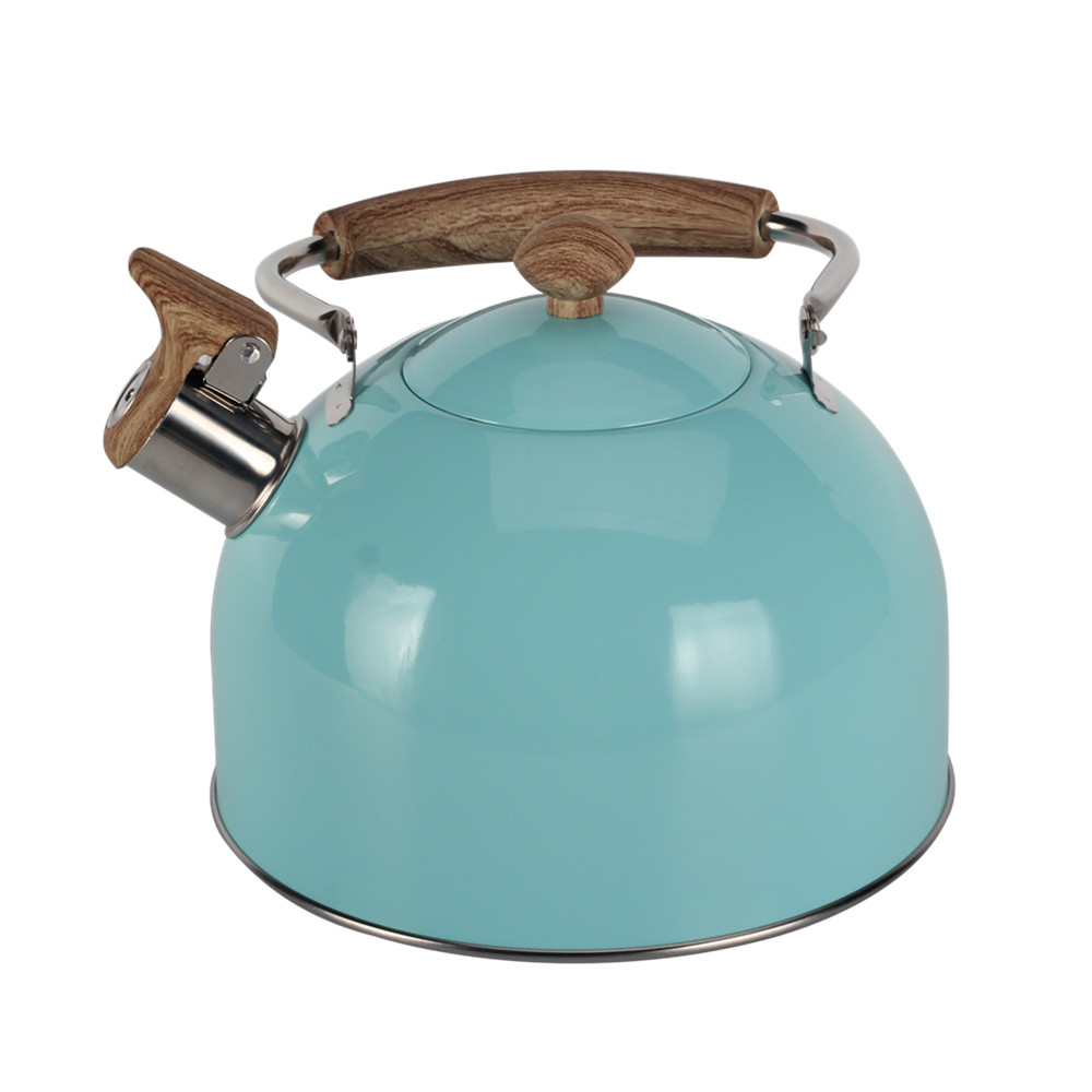 Mint Green Stainless Steel Whistling Tea Kettle — 6