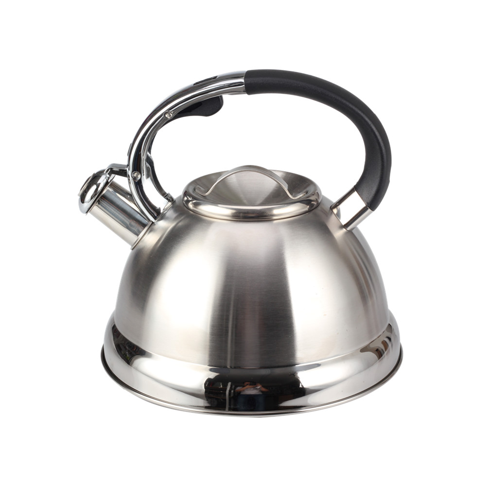 Stainless Steel Whistling Tea Kettle for Kitchen — product information