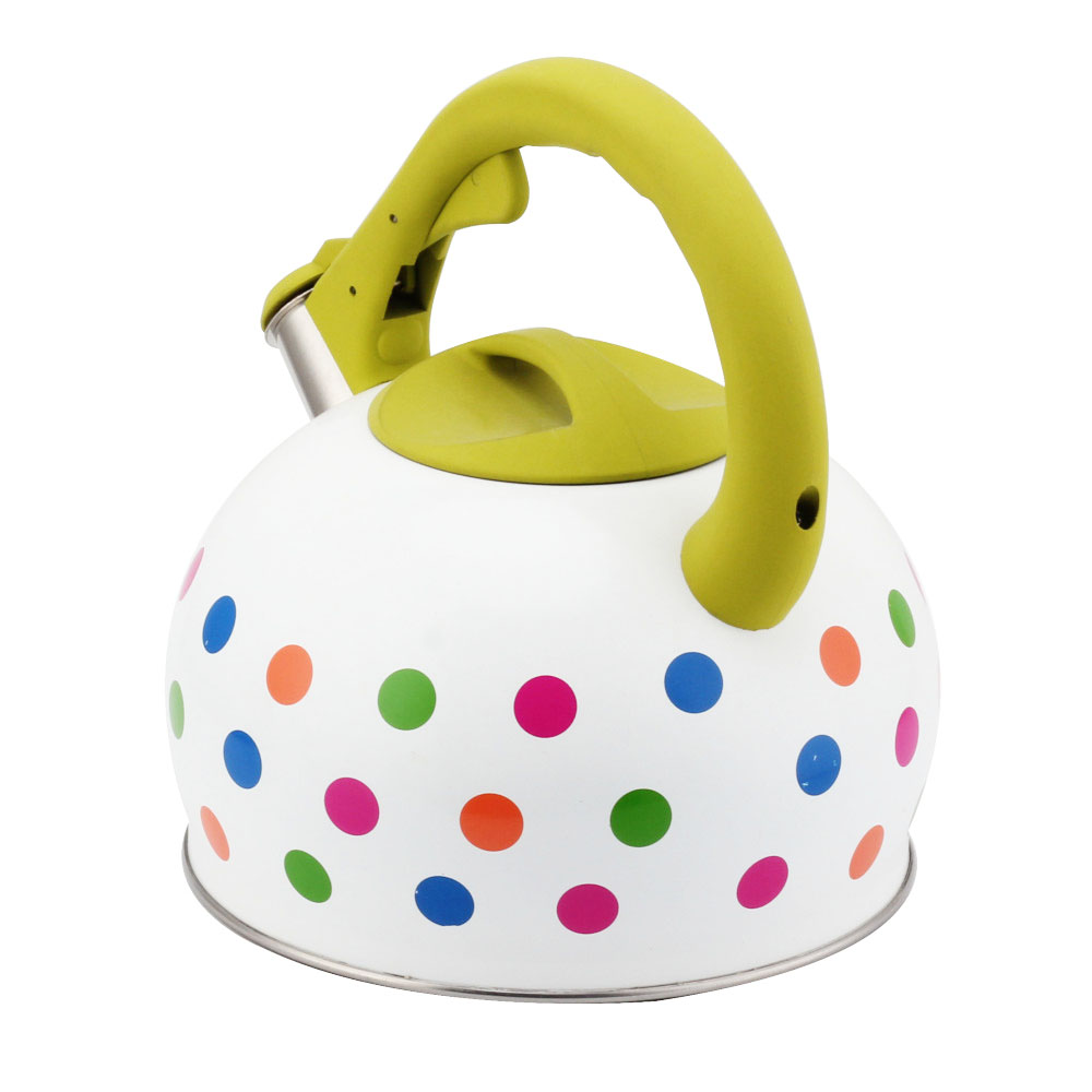 Stainless Steel Tea Kettle With Whistling Sound-Green Handle — 6
