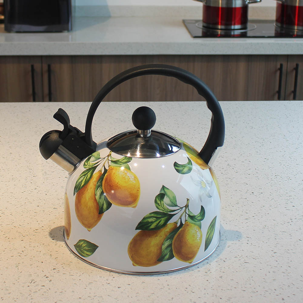 Stainless Steel whistling Kettle — product information