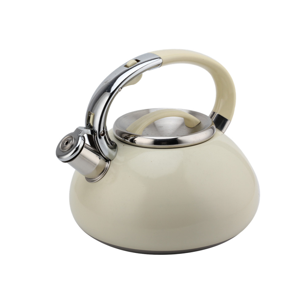 Kettle With Flute-Tea Kettle-Stainless Steel-Induction — 2
