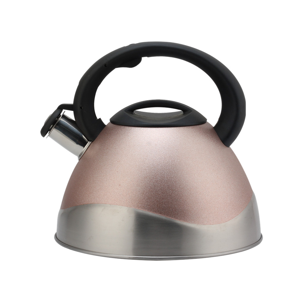 Modern Stainless Steel Whistling Kettle, Ergonomic Handle — product information