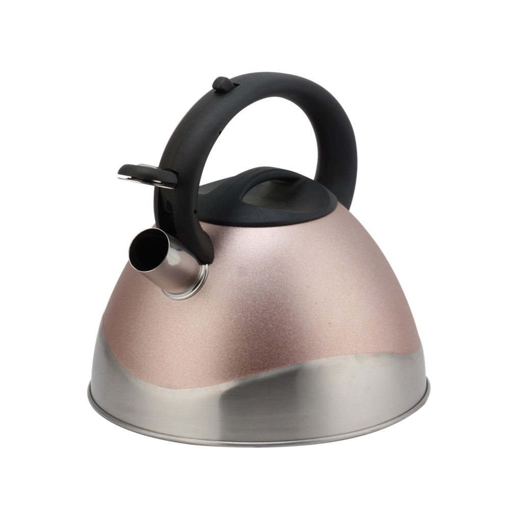 Modern Stainless Steel Whistling Kettle, Ergonomic Handle — 2