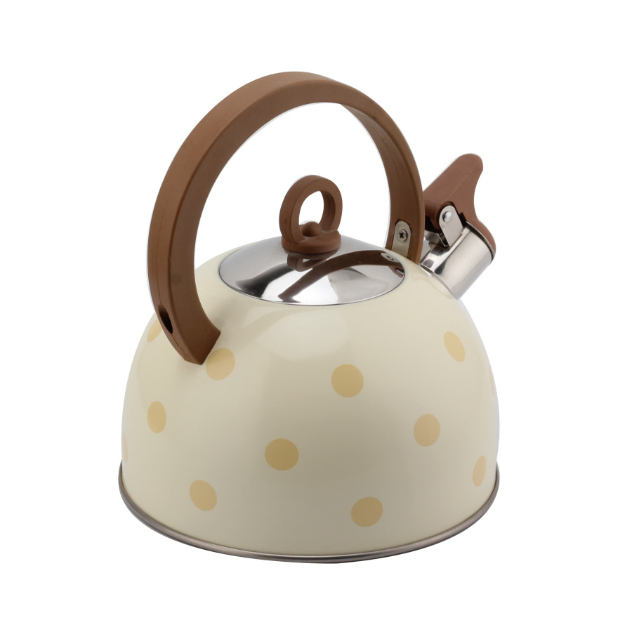 Stainless Steel Whistling Kettle for Tea — 5