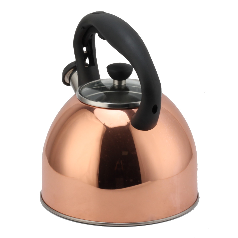 Fashionable S/S Whistling Kettle for Kitchen — product information