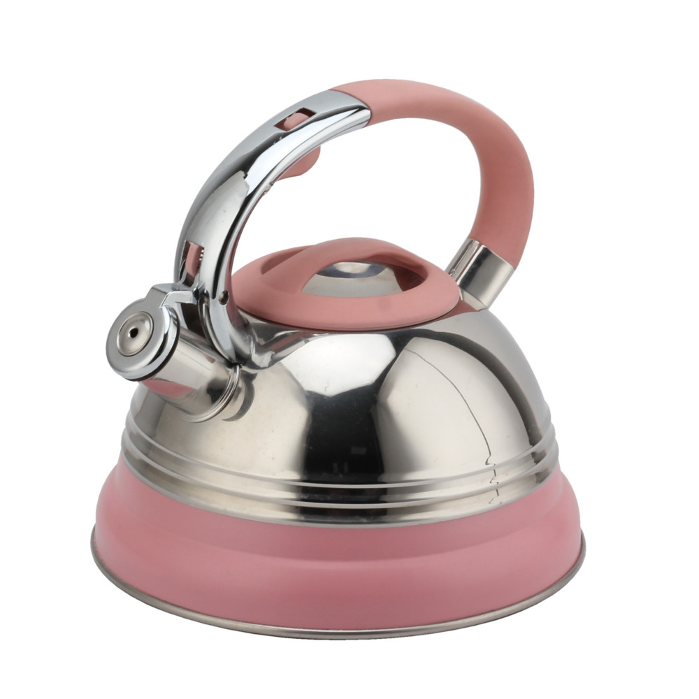 Modern Induction Kettle, Stainless Steel Whistling Kettle, Tea Kettle for All Hobs — 4