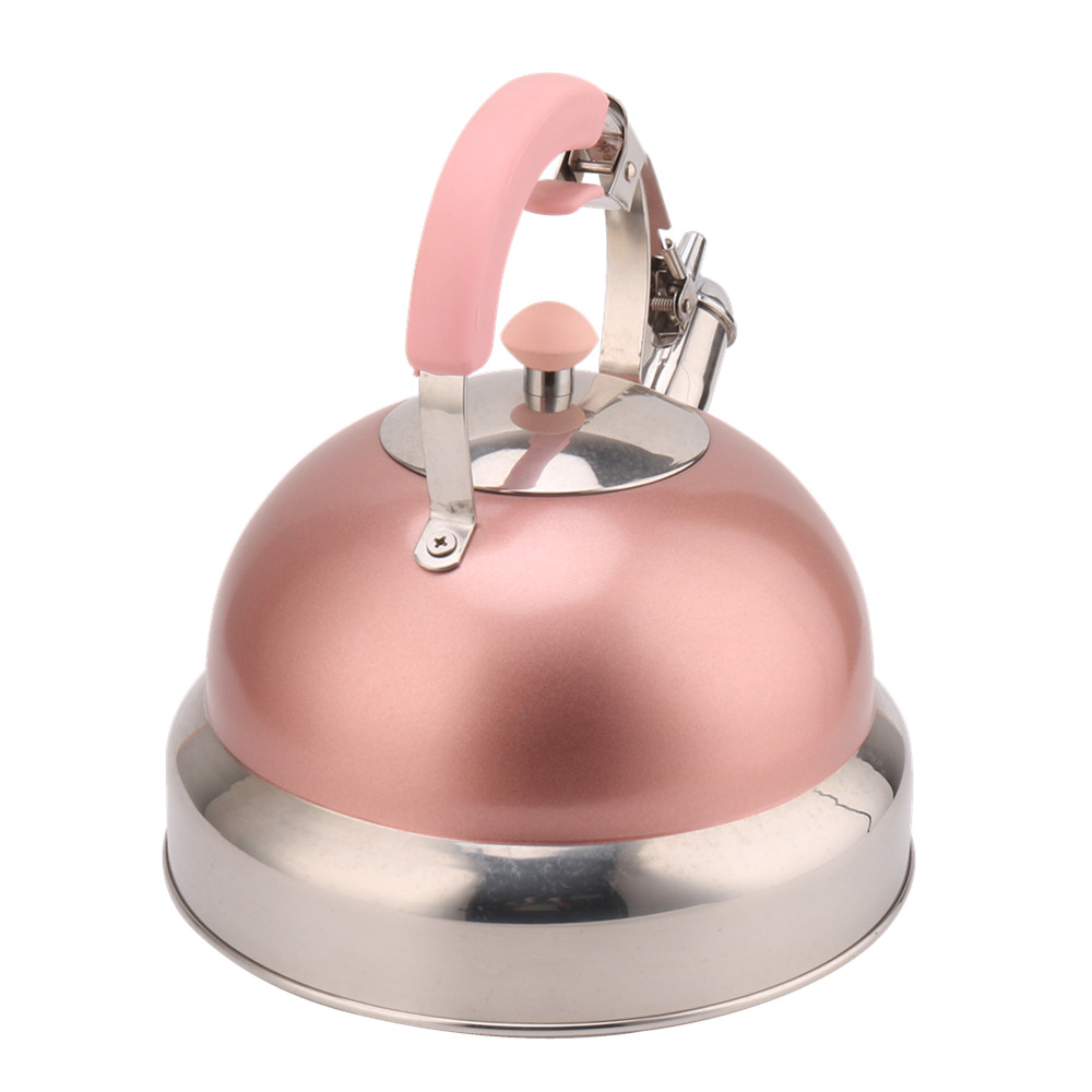 Kettle Induction-Stainless Steel Tea Kettle-Pink Color — 2