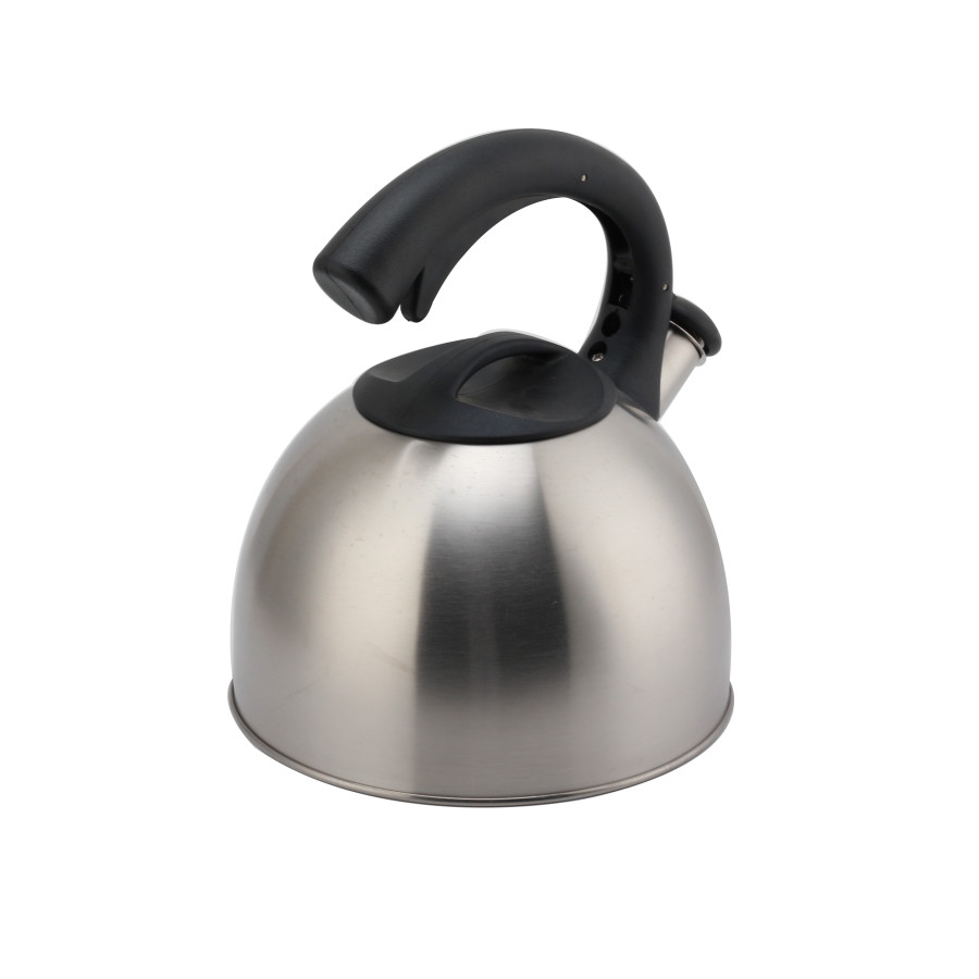 Whistling Teapot With Handle for Induction And Gas — 2