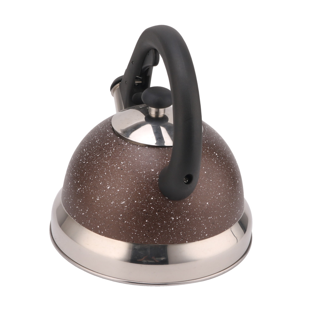 Stainless Steel Whistling Tea Kettle With Silicone Handle Coffee And Tea Sets — 4