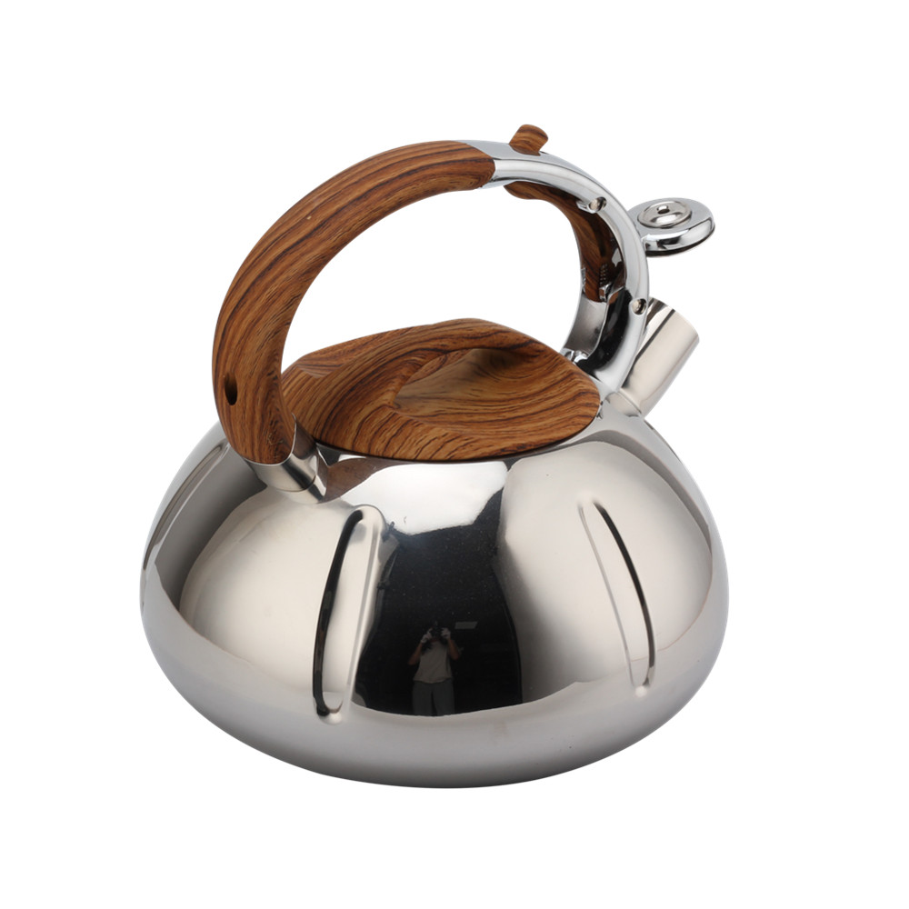 Fashionable Whistling Kettle-Kettle With Flute-Tea Kettle — 6
