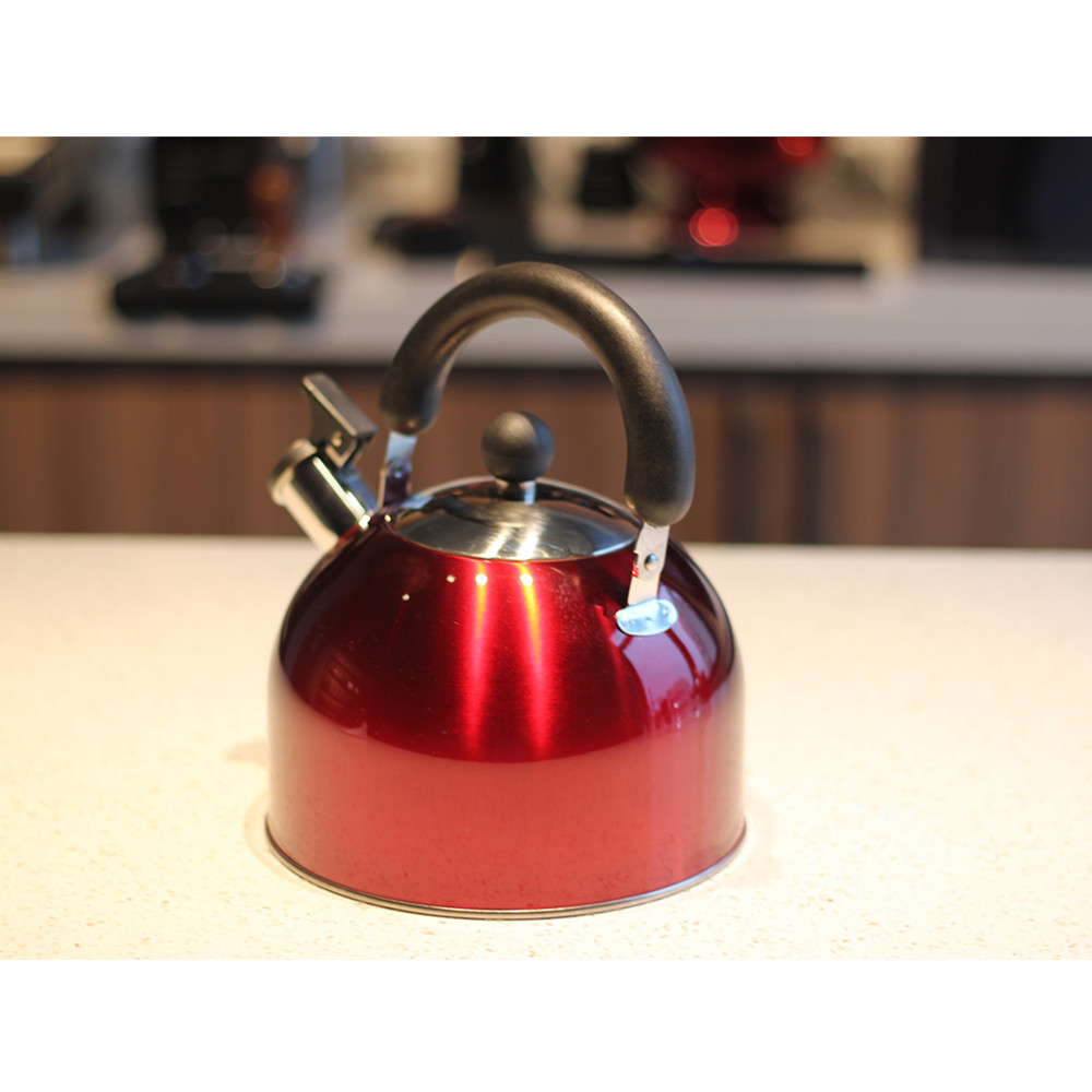 Stainless Steel whistling Kettle — product information