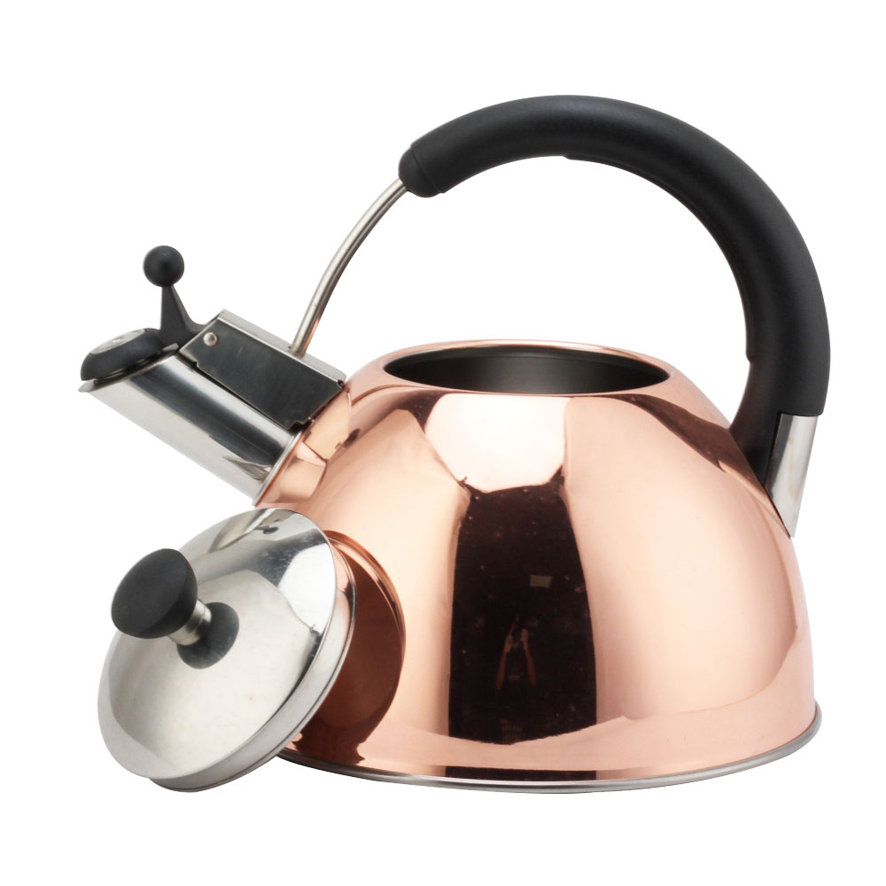 Modern S/S Whistling Kettle for Kitchen — 7