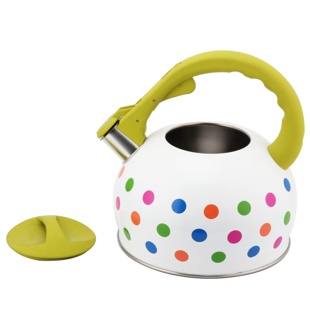 Stainless Steel Tea Kettle With Whistling Sound-Green Handle — 2