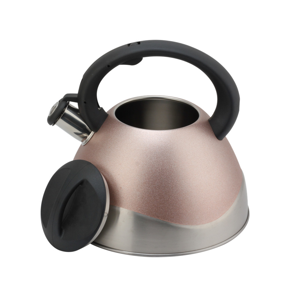Modern Stainless Steel Whistling Kettle, Ergonomic Handle — product information