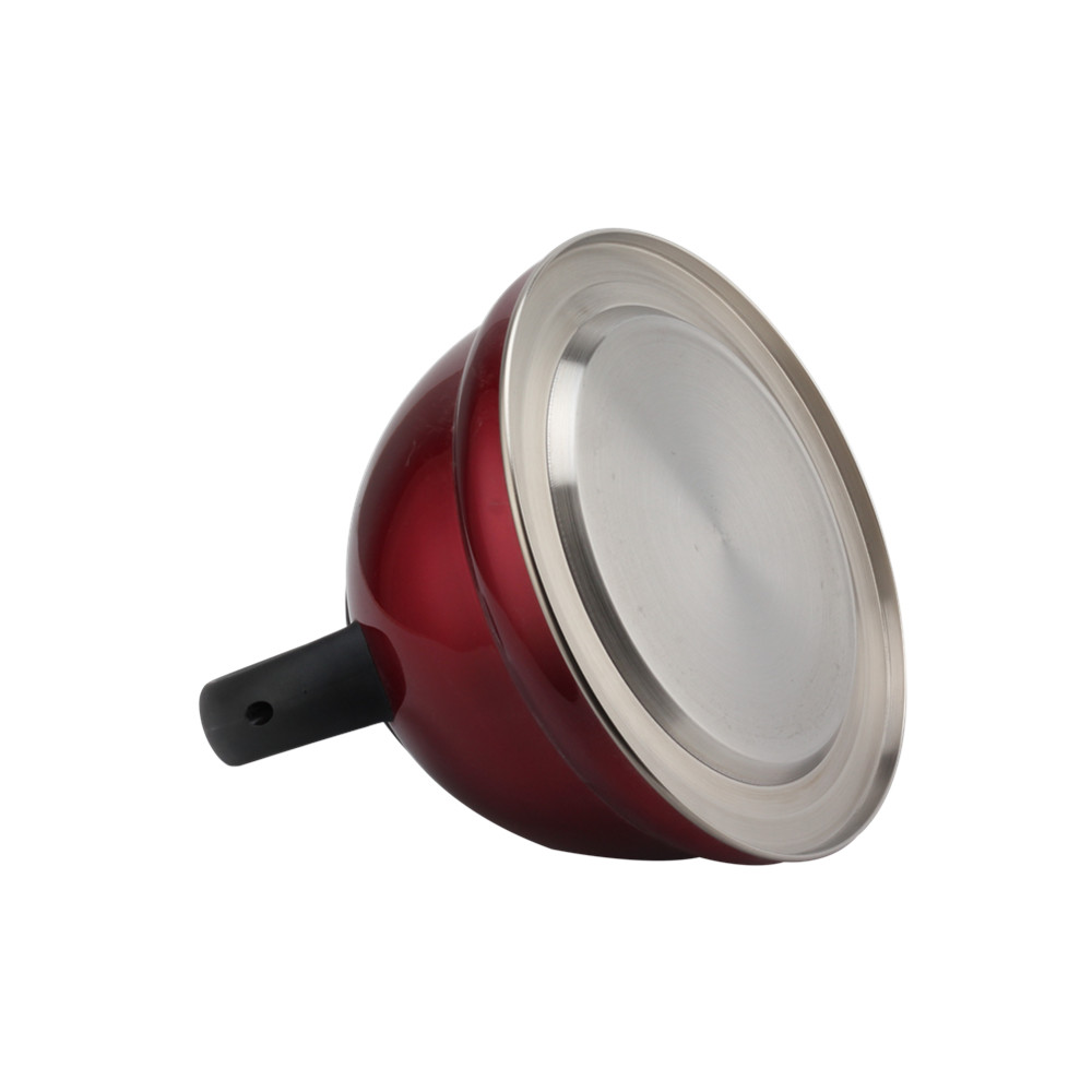 Tea Kettle With Flute-Whistling Kettle — 7