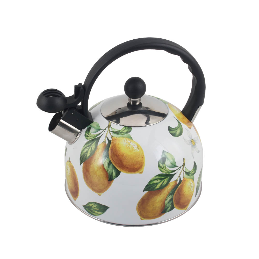 Patterned Stainless Steel Whistling Kettle — product information