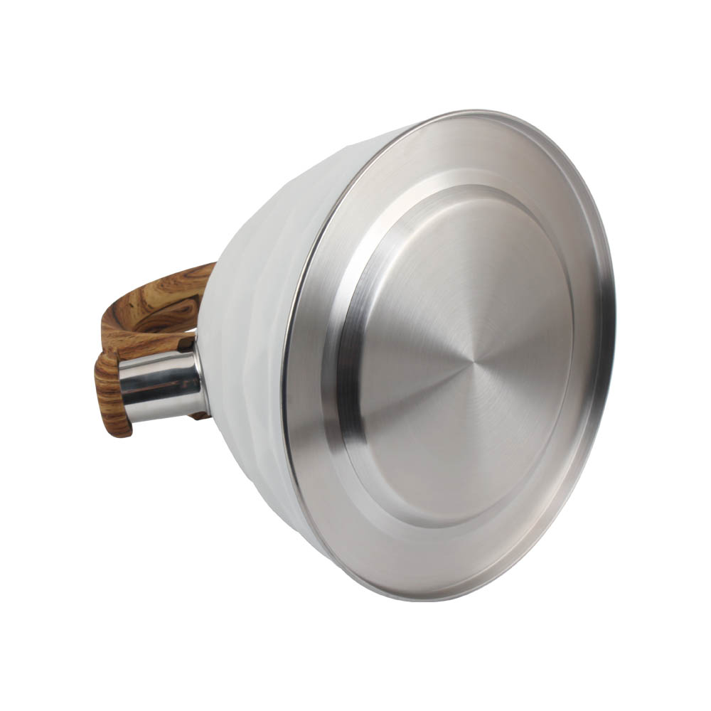 Stainless Steel whistling Kettle — 4