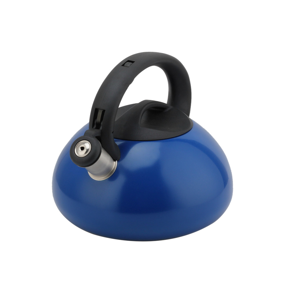 Induction Tea Kettle - Kettle for Induction And Gas Stoves — product information