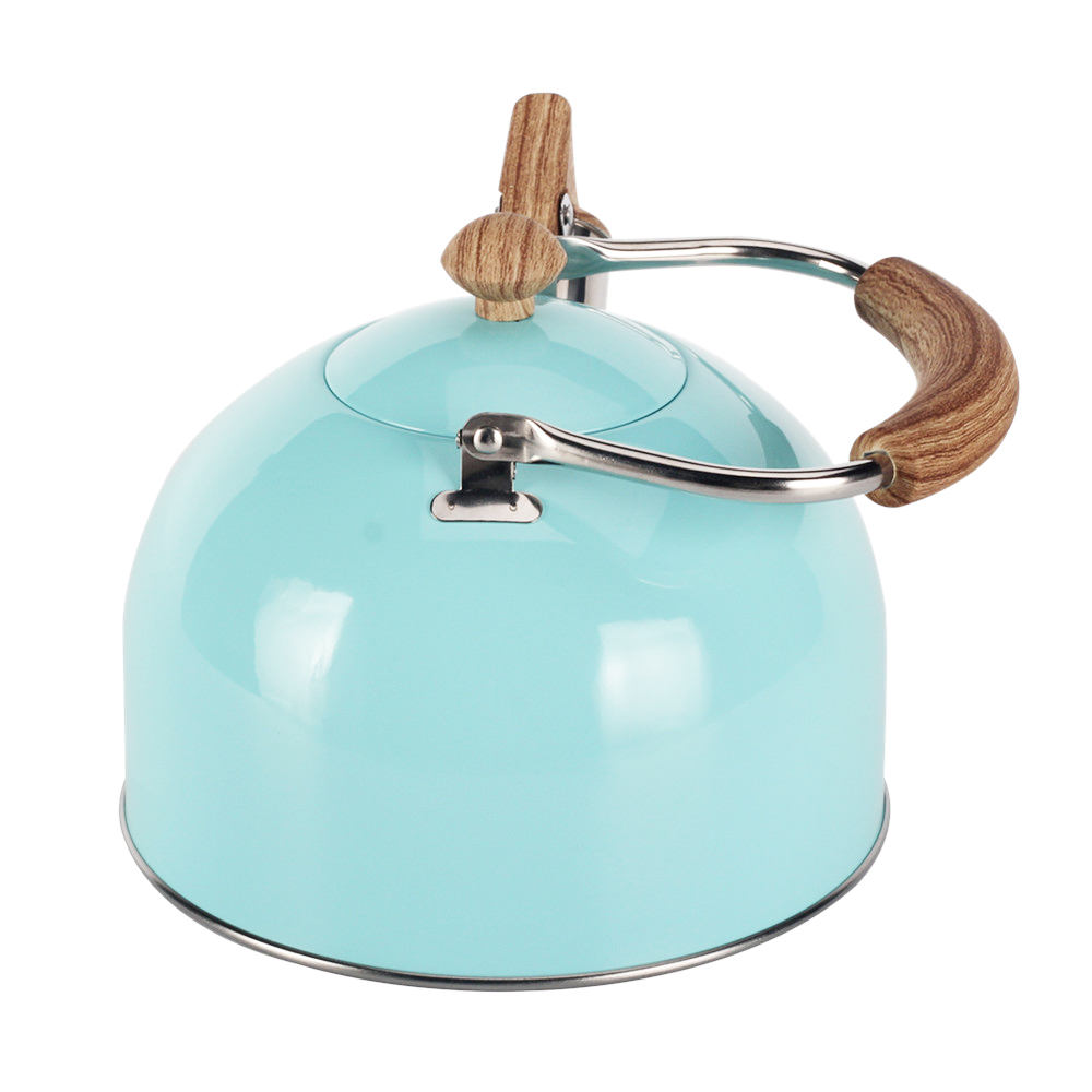 Stainless Steel whistling Kettle — 5