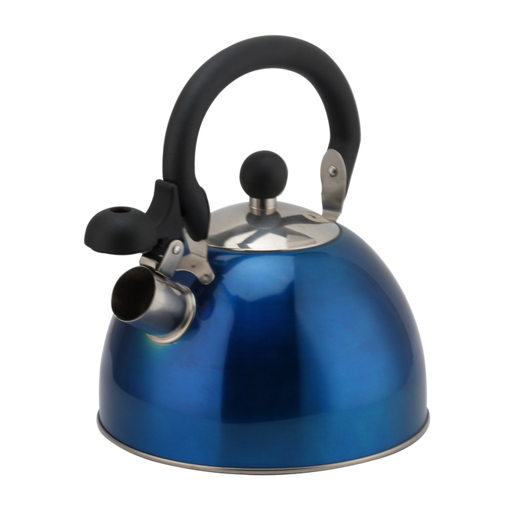 Stainless Steel Whistling Kettle (Blue) — product information