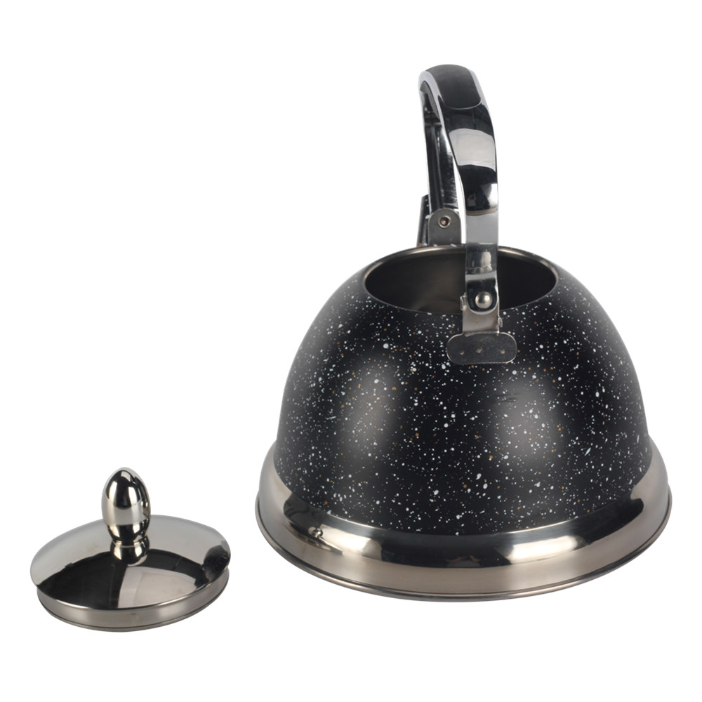 Whistling Kettle With Handle & Whistling Sound — 2