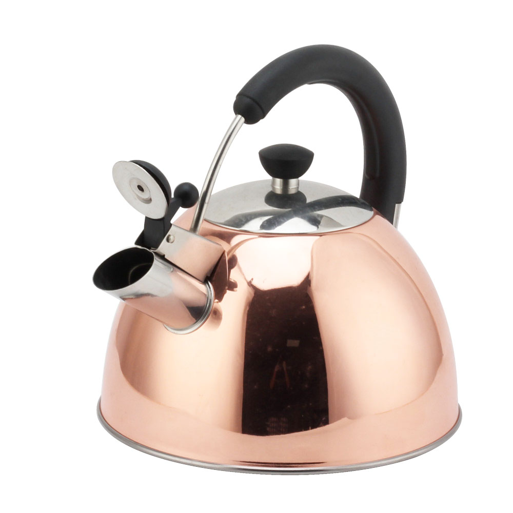 Modern S/S Whistling Kettle for Kitchen — product information