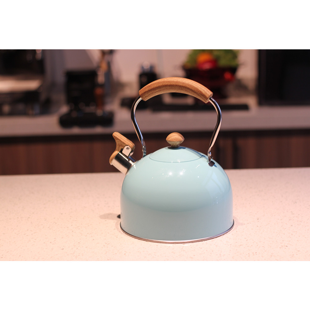 Stainless Steel whistling Kettle — product information