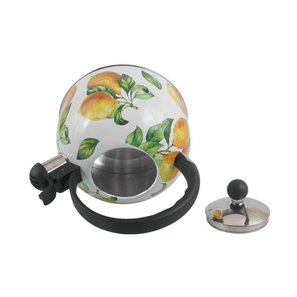 Patterned Stainless Steel Whistling Kettle — 4