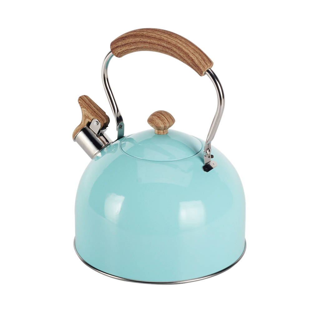 Stainless Steel whistling Kettle