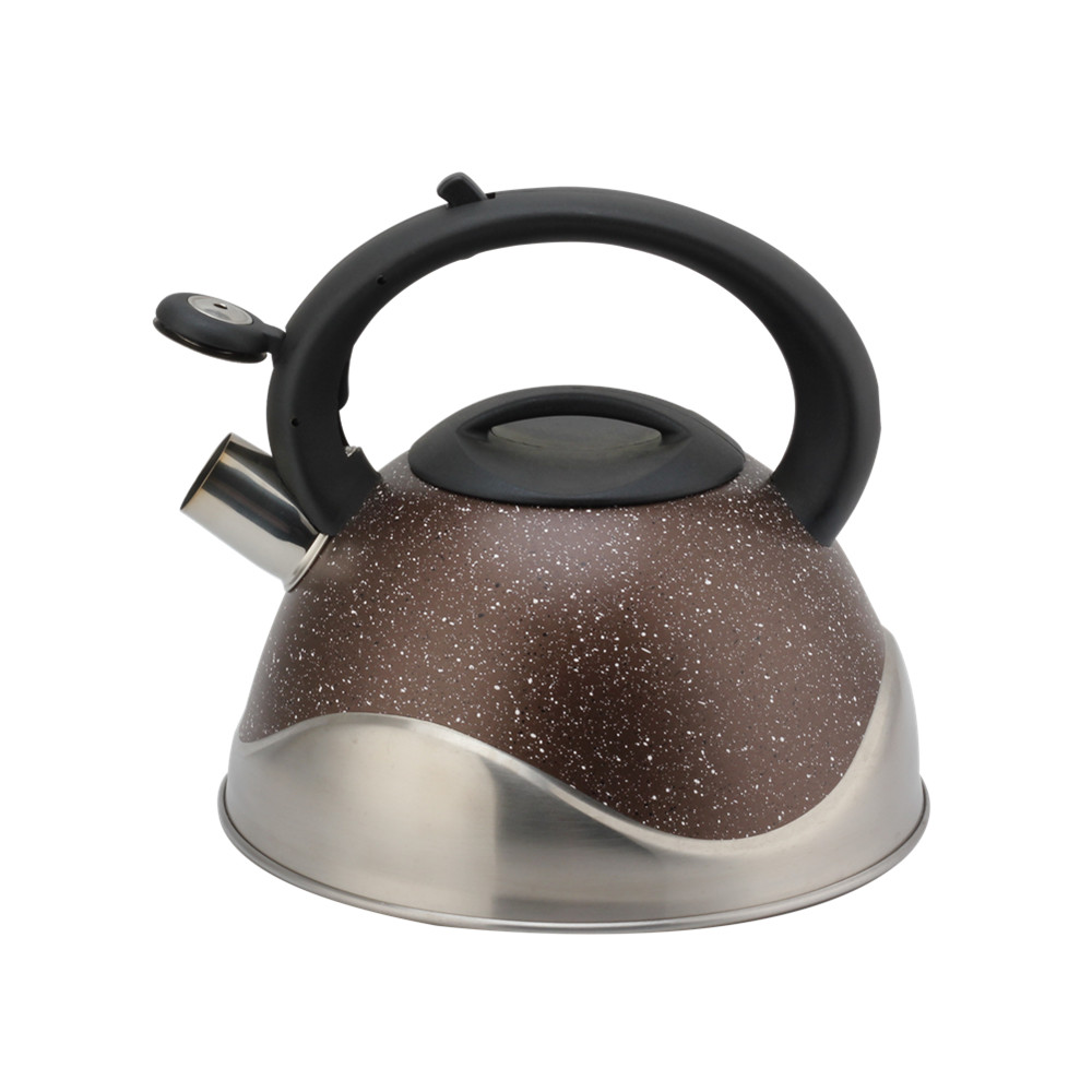 Stainless Steel Whistling Kettle, Ergonomic Handle — 3